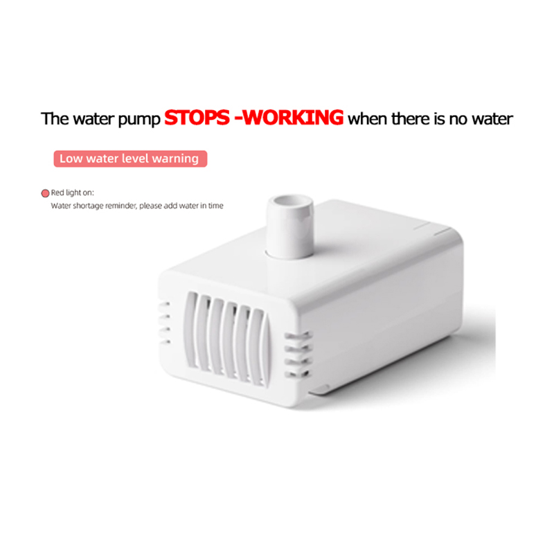 37000352